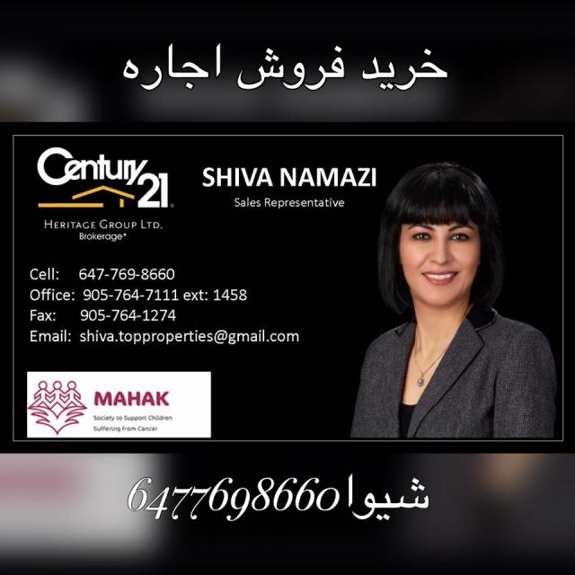 Profile picture for user shiva namazi